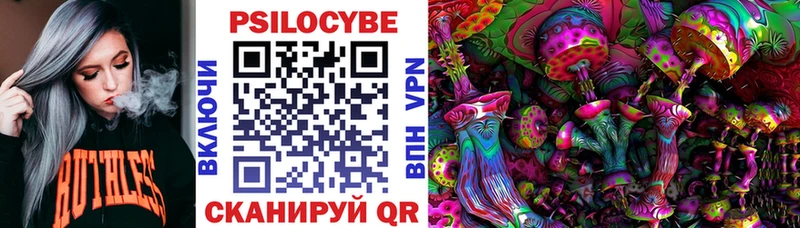 Галлюциногенные грибы Psilocybine cubensis Енисейск